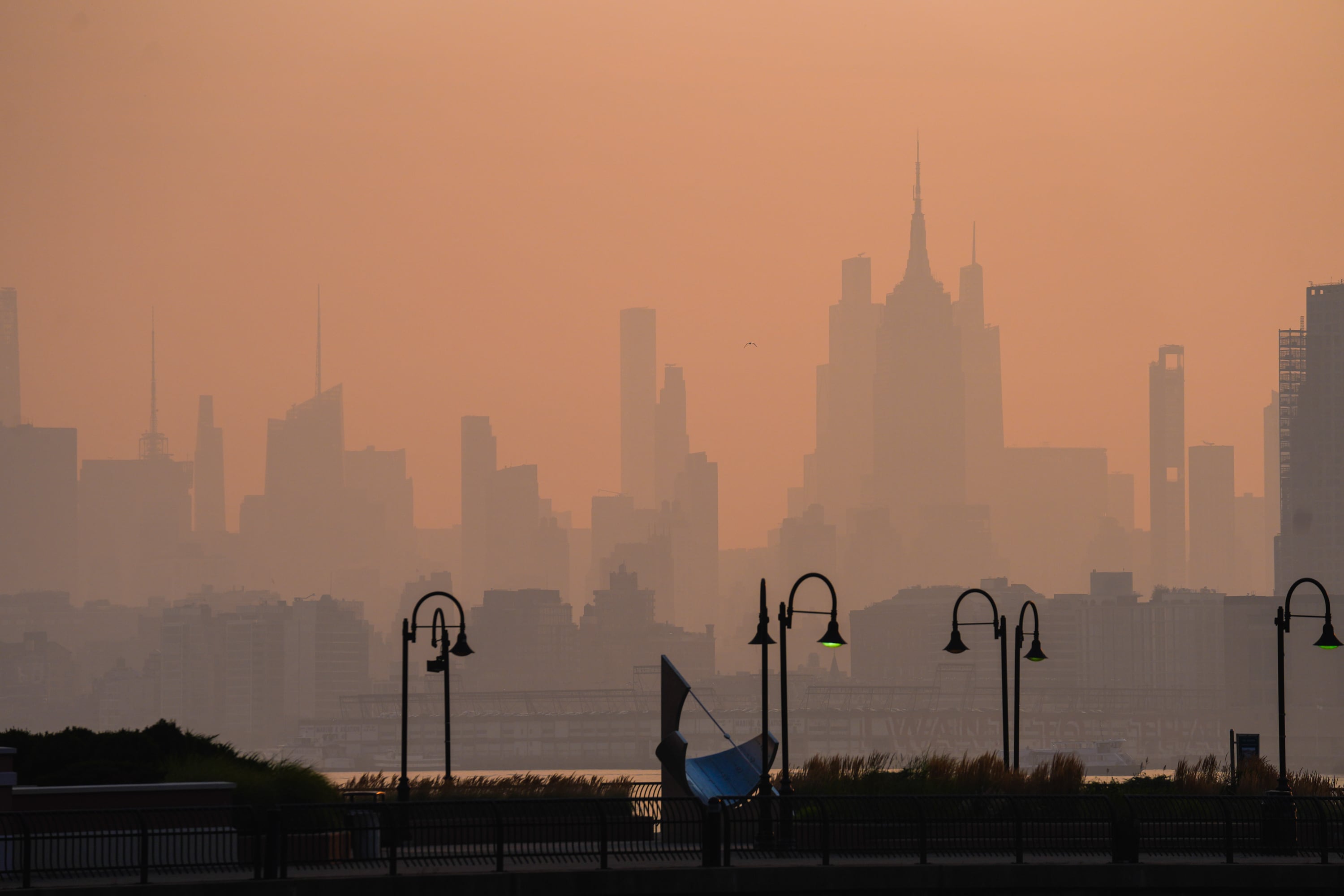 Las muertes por el humo de incendios forestales superan 1,5 millones anuales a nivel mundial