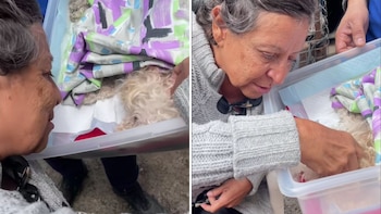 El momento exacto en el