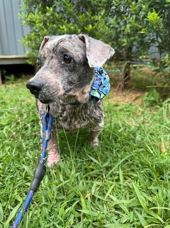 Usuarios destacan la transformación de