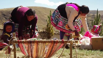 Brecha de género en la