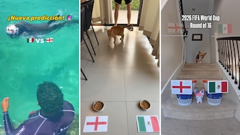 Animales influencers se vuelven virales al lanzar su predicción del partido entre México e Inglaterra en el Mundial 2026