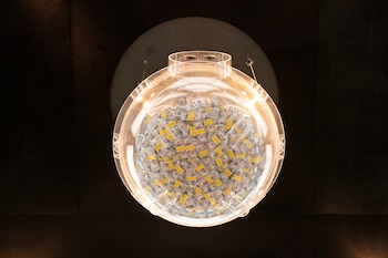 El reality show se filmó