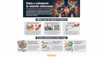 Infografía muestra un cuerpo humano rodeado de comida poco saludable, junto a gráficos sobre mala alimentación, sedentarismo, tabaquismo, ultraprocesados, falta de fibra y huevos.