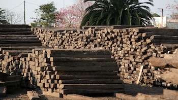 Entre los lotes, se encuentran