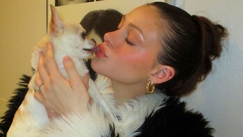 El estado de salud de