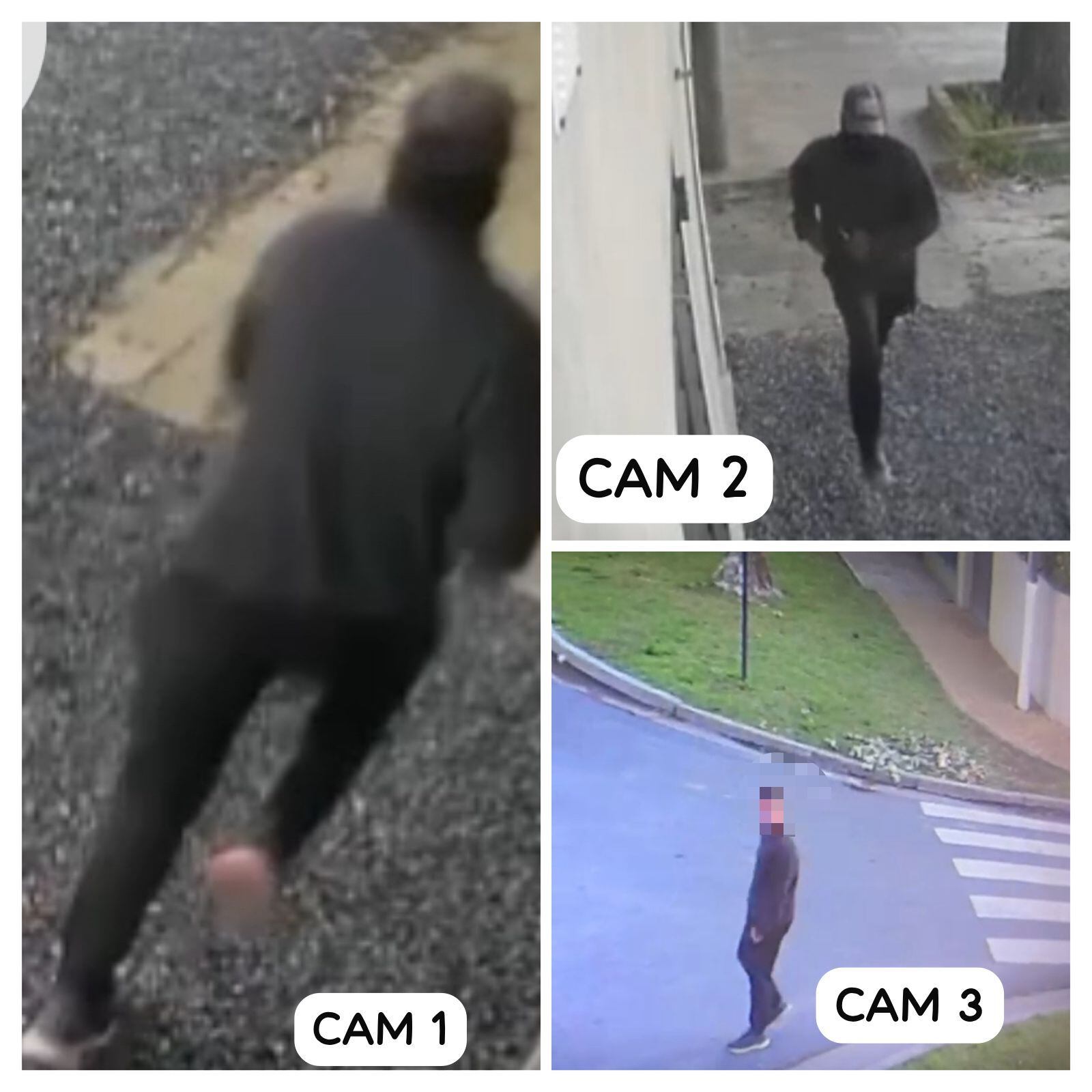 Las imágenes del sospechoso