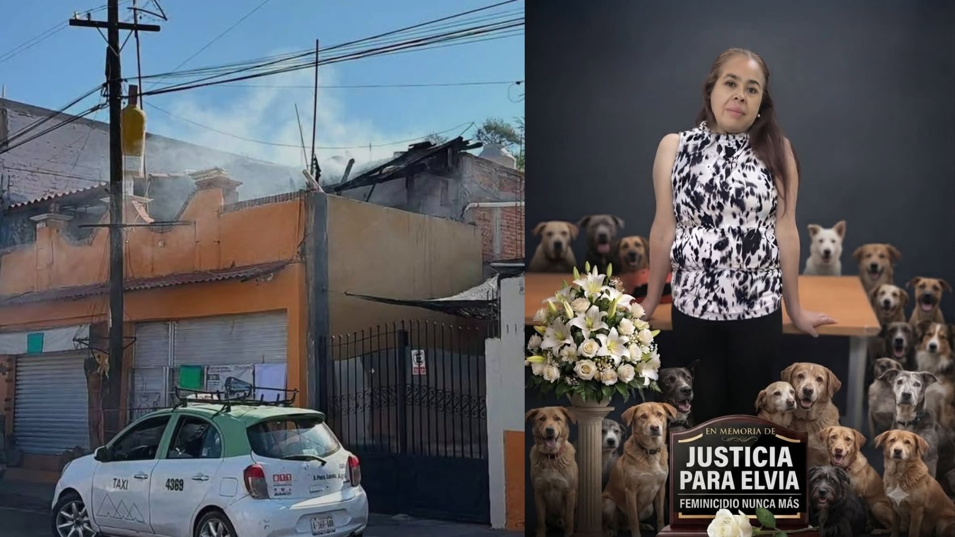 Muere en la cárcel el presunto feminicida de Elvia, rescatista de animales que fue encerrada y quemada en Aguascalientes