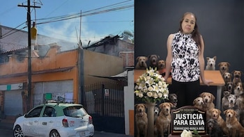 Elvia, defensora de animales, fue encerrada y quemada presuntamente por su esposo en Aguascalientes