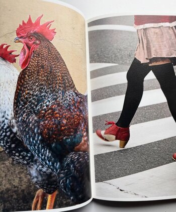 Guía de Arte y Cultura: semana del 12 al 19 de diciembre INTERIOR