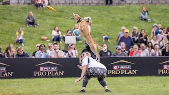 Desde niña, Rachel Sample soñó