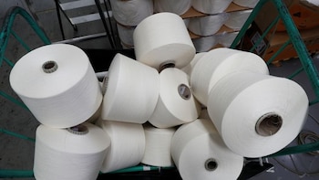 Madera, papel y valor agregado: el motor silencioso que impulsa las exportaciones