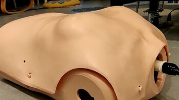 El desarrollo pretende transformar este