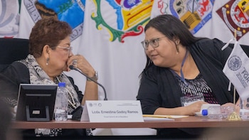 Citlalli Hernández acuerda con Godoy