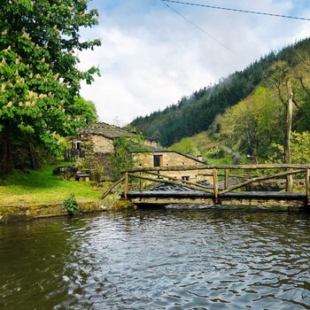 Os Teixois (osteixois.es)