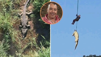 Un equipo halló restos humanos en el estómago de un cocodrilo tras el rastro de un desaparecido en Sudáfrica