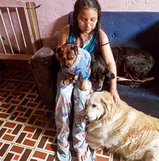 La adulta mayor cuida a los animales en compañía de su esposo - crédito @peluditos_luzma/Instagram