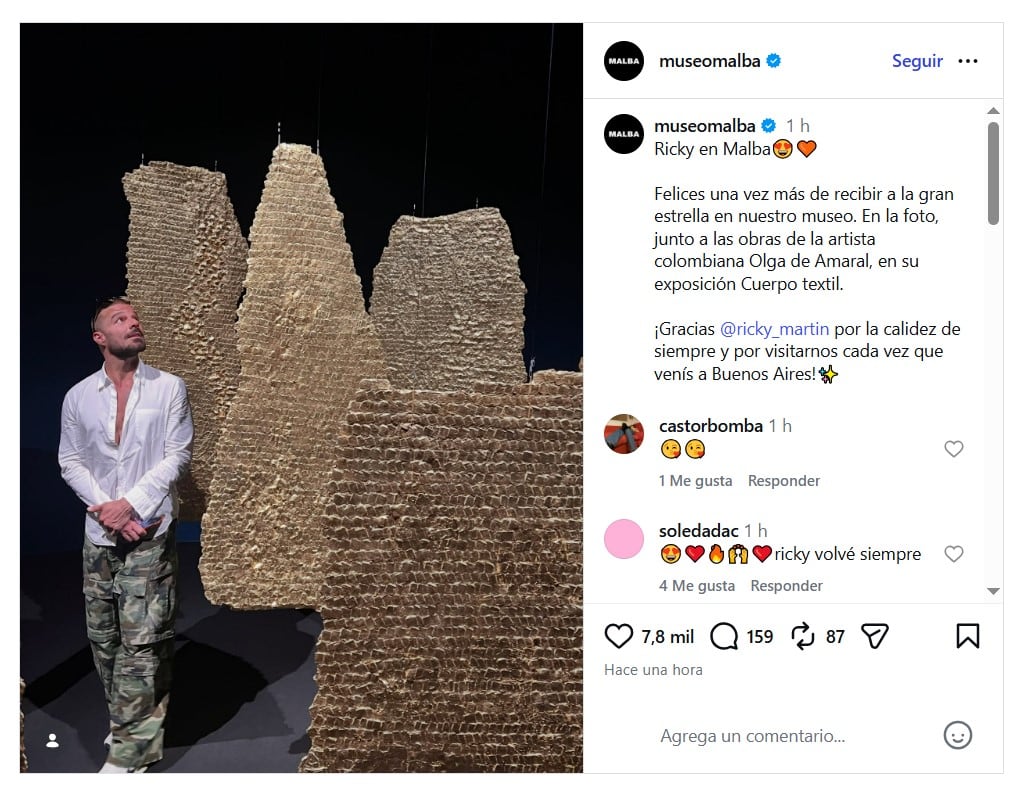 Así fue el recorrido de Ricky Martin por el MALBA: la muestra que le llamó la atención
