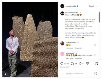 Ricky Martin visitó el MALBA y eligió recorrer la muestra Cuerpo textil de Olga de Amaral durante su estadía en Buenos Aires