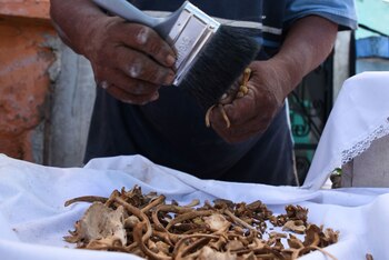 Pomuch, Campeche, México. 26 de