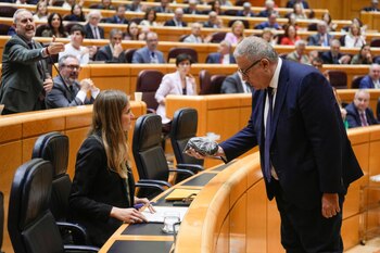 El senador del PP Francisco