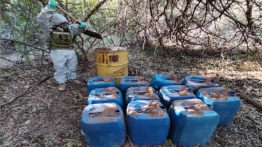 El Grupo Interinstitucional aseguró áreas de concentración de químicos y destruyó un plantío de marihuana en Culiacán, Sinaloa. (SSP Sinaloa)