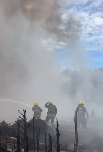 Bomberos de Ibagué respondieron a cientos de incendios y rescates de animales durante la primera mitad del año - crédito Captura de pantalla/Redes sociales
