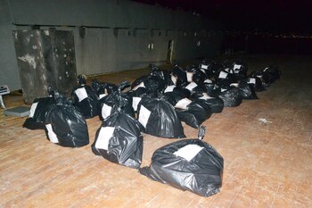 La cocaína procede de Sudamérica