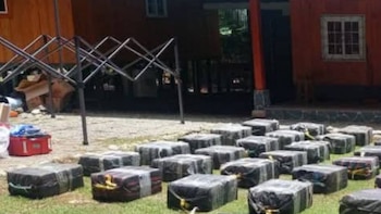 La tonelada y media de cocaína decomisada en el sur de Costa Rica tenía calcomanías de Tarzán