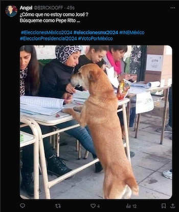 Así reaccionan los usuarios en