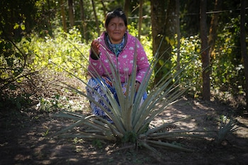 Erica, una mujer wichí joven y esperanzada, frente al chaguar del futuro que creció en el fondo de su propia casa