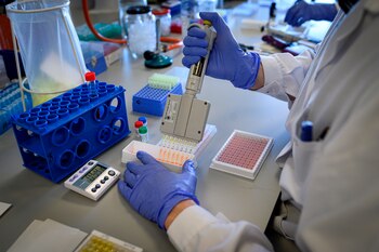 Investigadores del español Instituto de