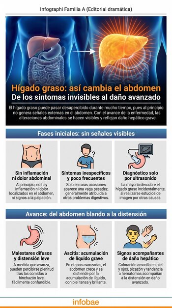 Infografía con dos torsos humanos, uno con órganos sanos y otro con hígado graso. Siete diagramas ilustran fases de la enfermedad hepática y síntomas abdominales.