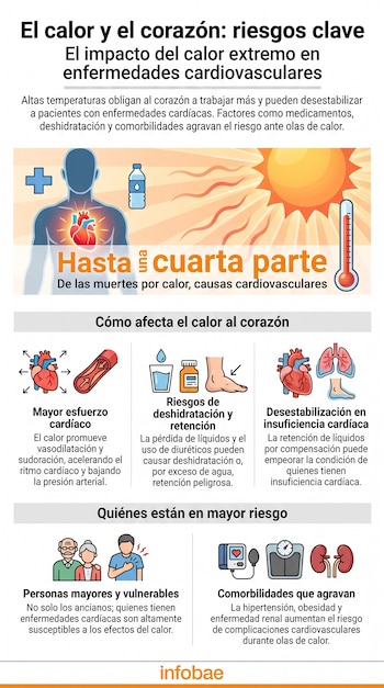 Infografía: título principal, cuerpo humano con corazón, sol, termómetro, botella de agua, e íconos sobre fisiología cardíaca, medicamentos y personas.