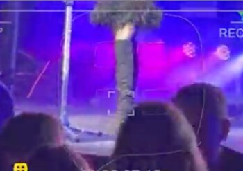 la gaviota y supuesto novio