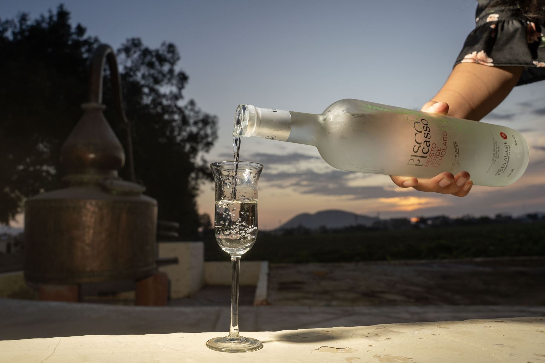 Continúa la controversia entre Perú y Chile por el pisco. Foto: cortesía