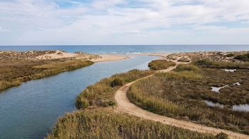 Un río fluye entre cañaverales y dunas de arena hacia el mar, junto a un camino de tierra y bajo un cielo azul con nubes.