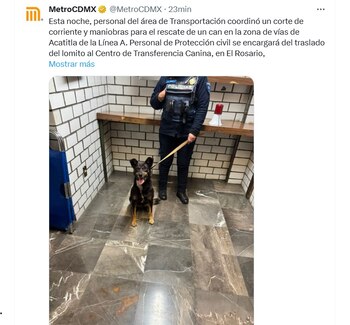 rescataron a perrito que cayó a las vías de la Línea A del Metro CDMX