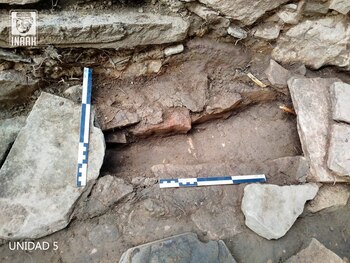 Las estructuras, localizadas en las