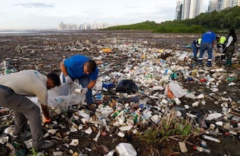 El llamado es a parar de botar la basura de manera irresponsable, pues se contaminan los ríos, mares, playas, y se afecta la salud de las personas, la fauna y los ecosistemas marinos. (Alcaldía)