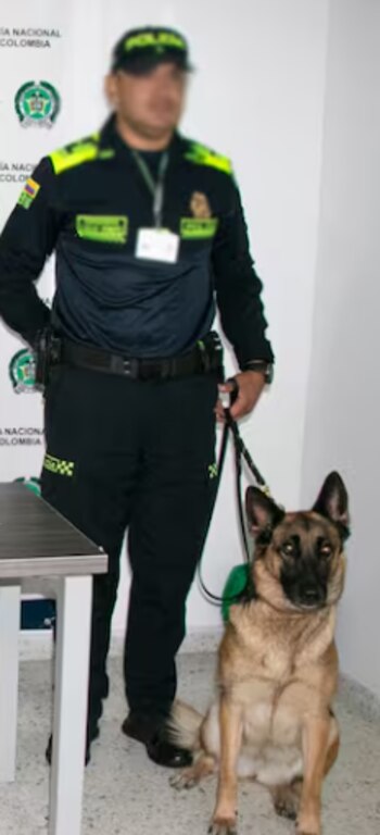 El canino Atila fue quien