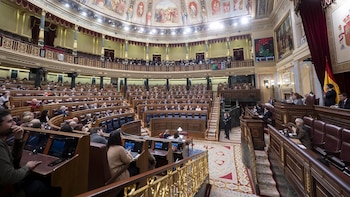 El Congreso aprueba una moción del PP que fuerza al Gobierno a revisar el rescate de Plus Ultra