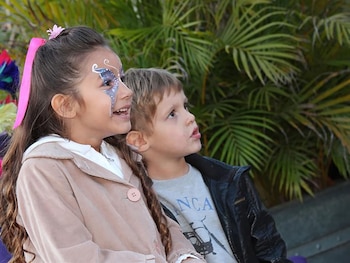 Entre las postales, el actor