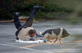 Una de las imágenes más