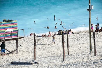 El descenso responde a la