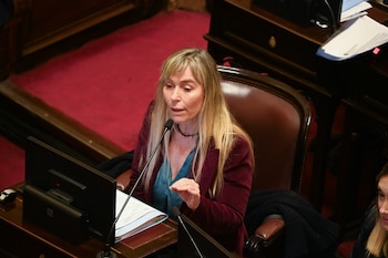 La senadora Juliana Di Tullio habla durante el debate (Fotografía RSFotos)