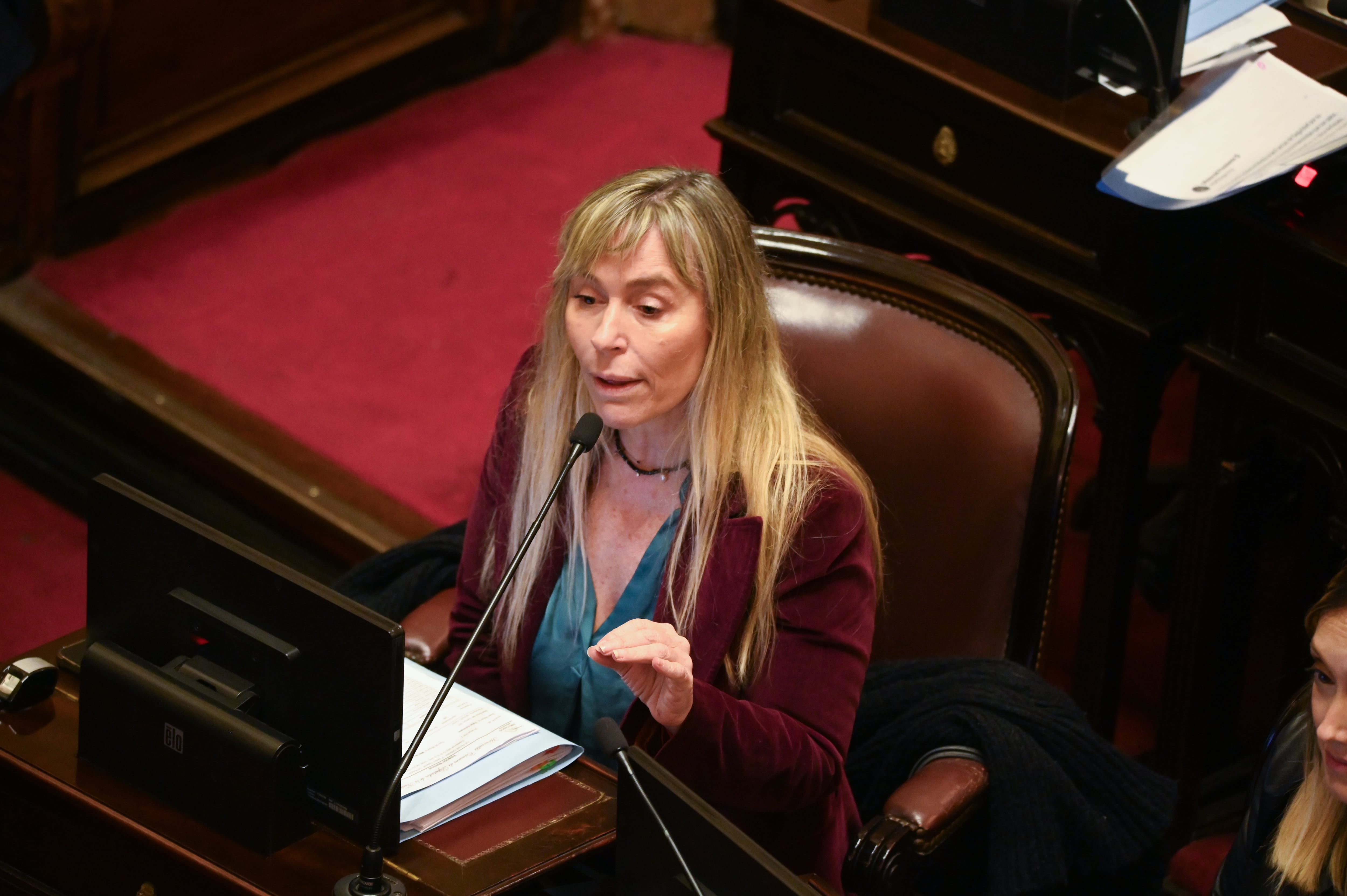La senadora Juliana Di Tullio habla durante el debate (Fotografía RSFotos)