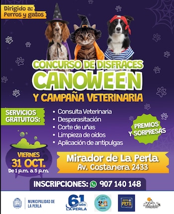 Las mascotas recibirán atención por