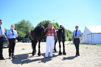 Amalia de Holanda llega a su cita ecuestre en Aquisgrán (Grosby)