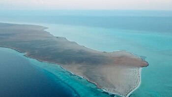 AMAALA recibió los máximos honores