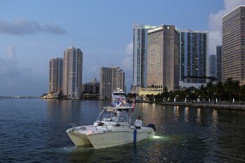 No hay hasta ahora contenidos